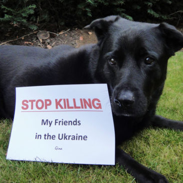 Gina macht auch mit … STOP KILLING DOGS